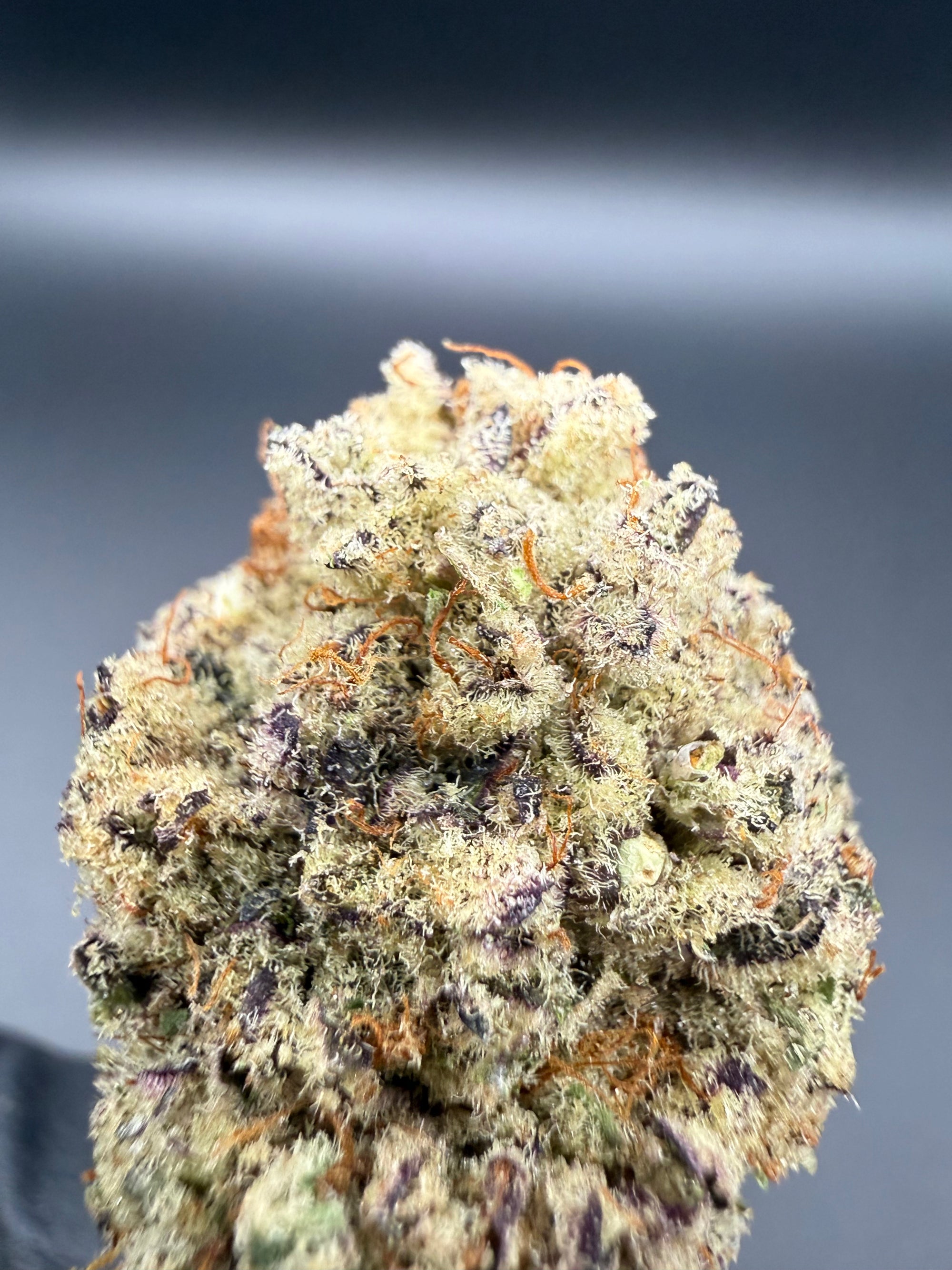 Tropsicle -  Premium Bulk THCa Flower