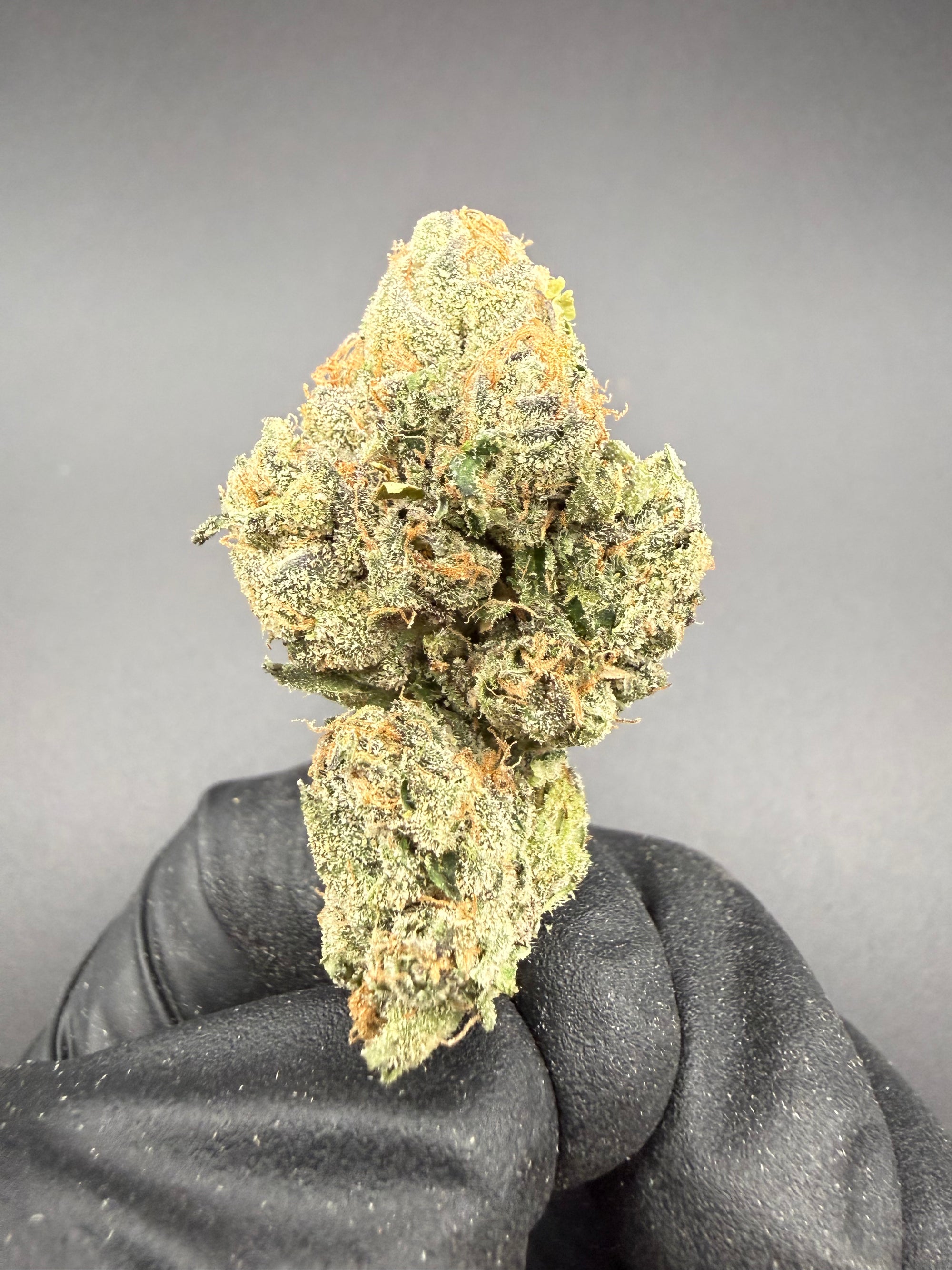 White Runtz - Premium THCa Flower