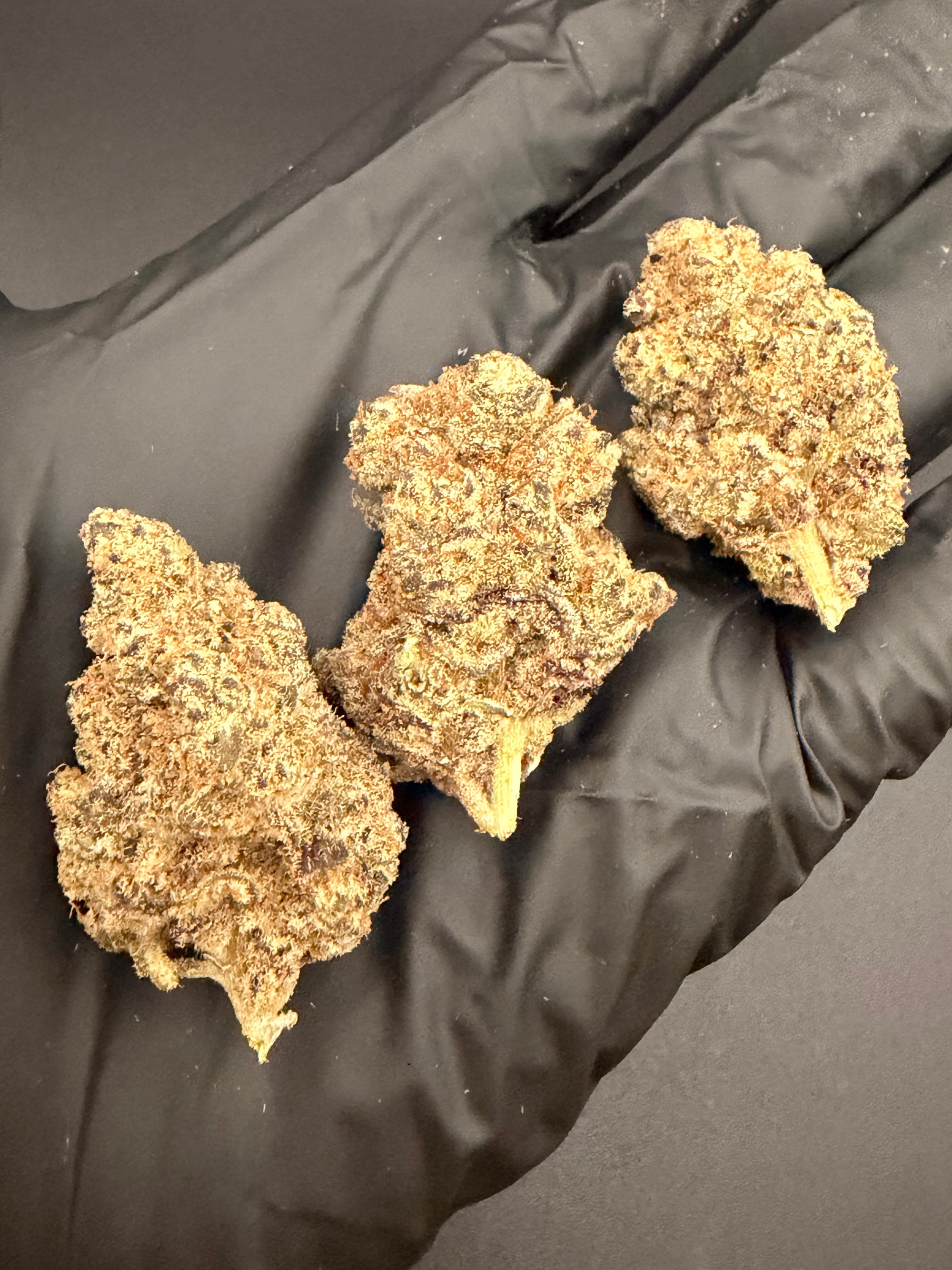 Zkittlez - Exotic THCa Flower