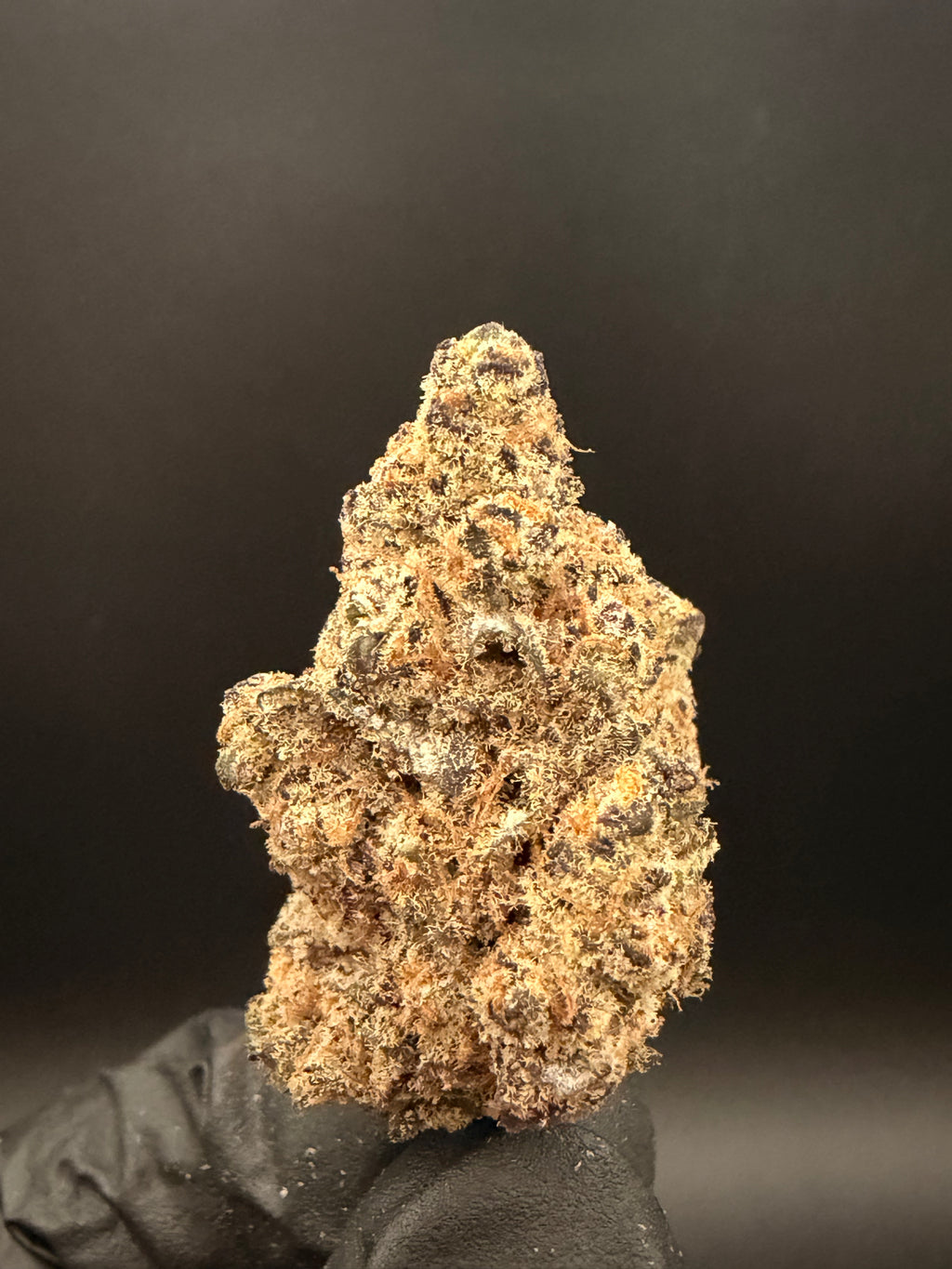 Zkittlez - Exotic THCa Flower