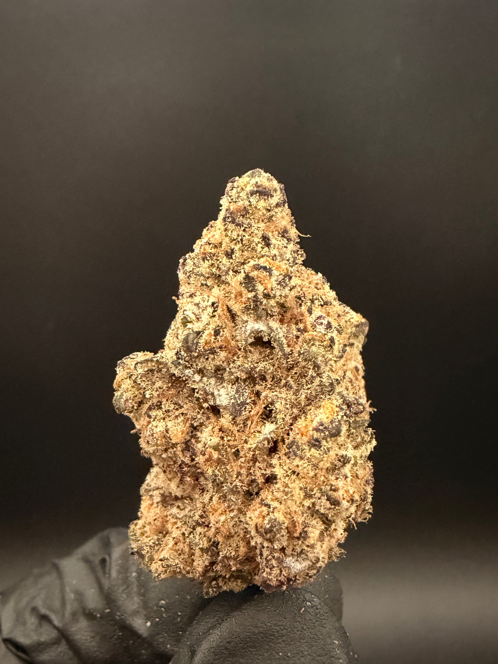 Zkittlez - Exotic THCa Flower