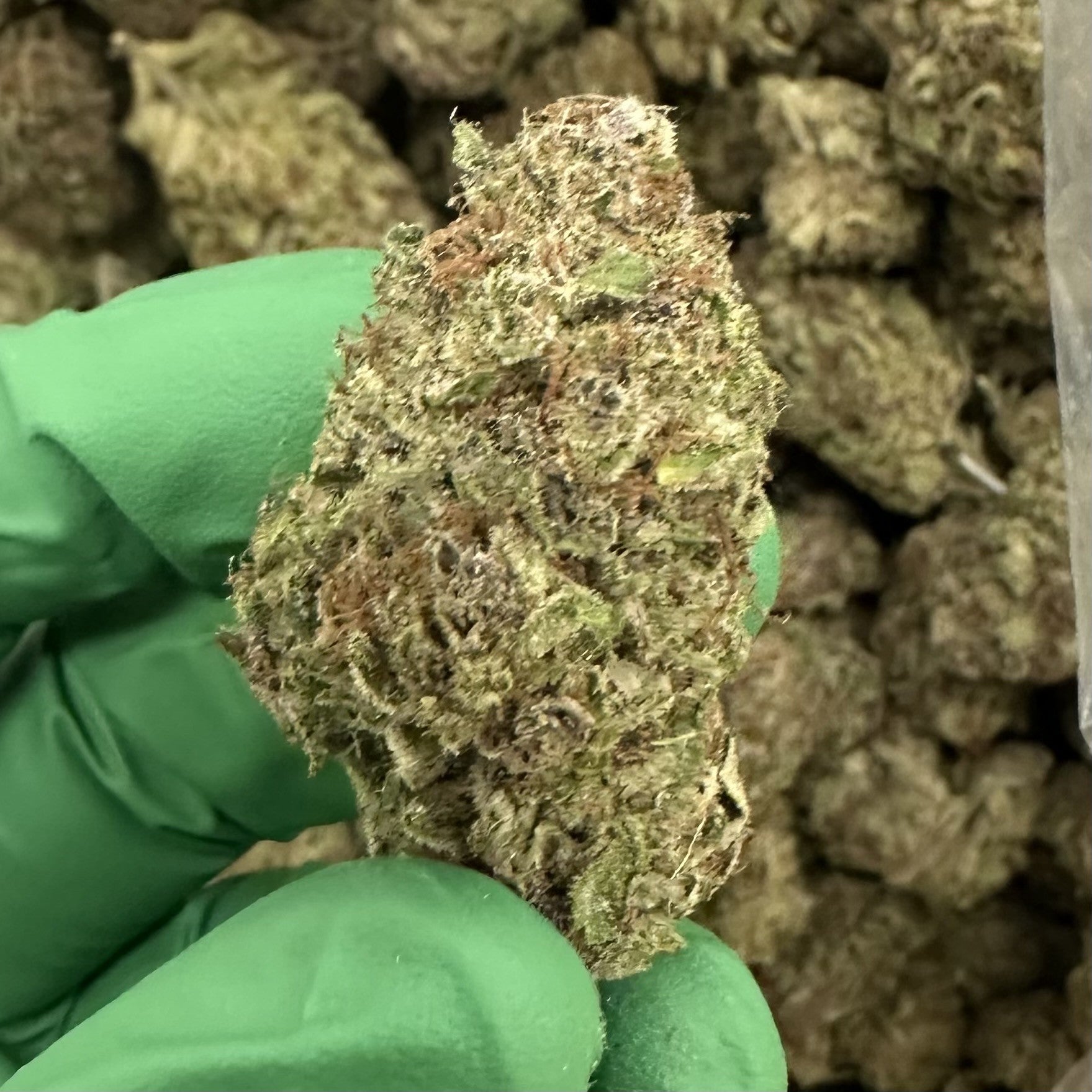 Tang Breath