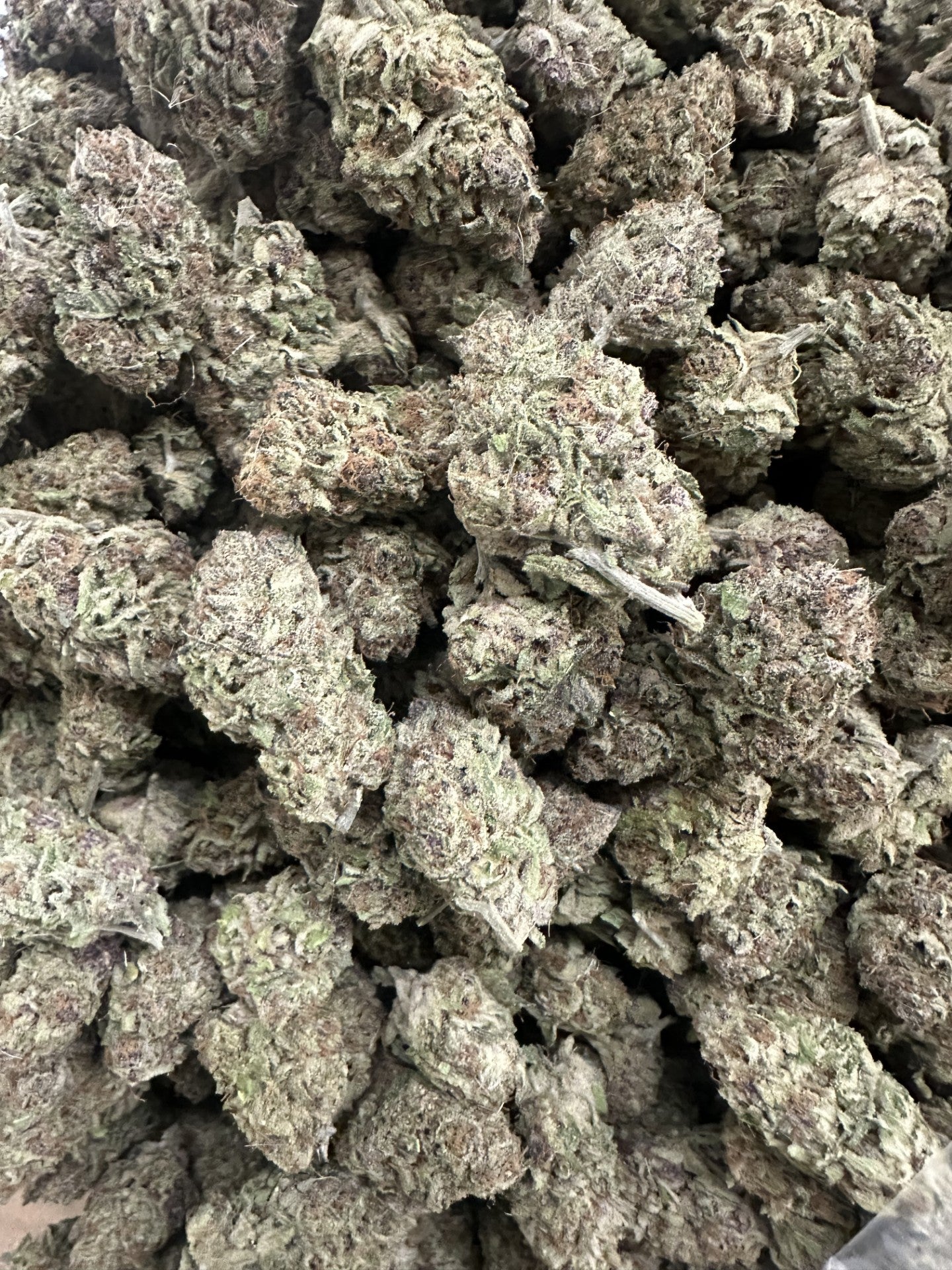 Tang Breath